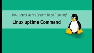 Linux Uptime Command Options and Output Explained