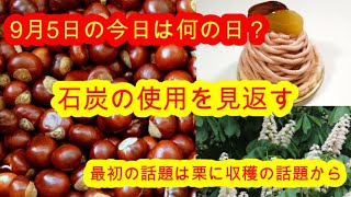 9月5日の今日は何の日？