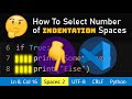 VSCode How To Change Indentation