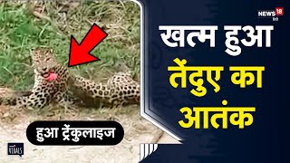 Viral | Assam के Jorhat में आतंक मचाने वाला Leopard हुआ Tranquilized, लोगों ने ली राहत की सांस