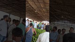 Mosambi rate today live auction mosambi batasingaram fruit market hyderabad 20-04-2023.