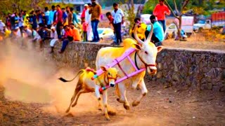 bailgada sharyat - नाद एकच बैलगाडा शर्यत | बैलगाडा शर्यत | bailgada sharyat maharashtra बैलगाडा रेस