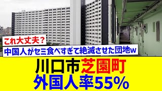 川口の芝園町で外国人が日本人の数を超える【国内の反応】