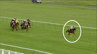 Remarkable! How did this horse LOSE this race at Ayr?! 🤯
