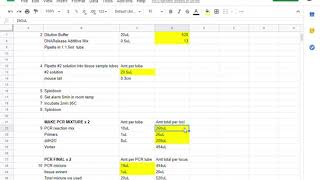 Mice genotyping step by step