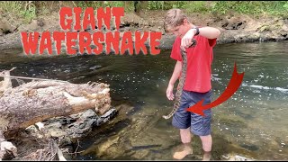 Stupid Teenager Catches Snakes