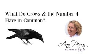 What Do Crows \u0026 The Number 4 Have in Common?