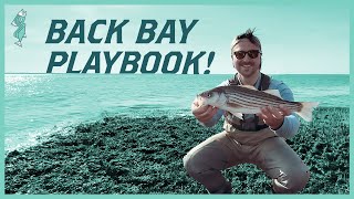 How to Catch Spring Back Bay Striper: A Beginners Guide