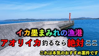 【三重県釣り場紹介】イカ釣りたい人必見‼︎人は少ないけどイカ大量‼︎