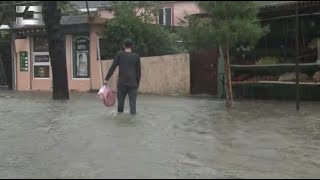 აჭარაში სტიქიას ებრძვიან. ძლიერმა წვიმამ ბათუმში დატბორა ქუჩები, სახლები,ეზოები და სავაჭრო ობიექტები