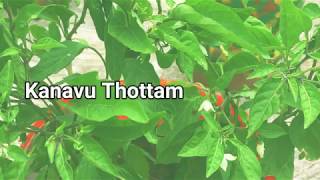 மாடி தோட்டத்திற்கு தரமான மண் கலவை தயார் செய்வது எப்படி ? / Terrace garden potting mix preparation