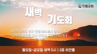 새벽기도회ㅣ25.2.4ㅣ강병국 목사ㅣ드림교회