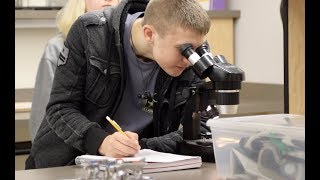 Bethel high schools moving to trimester system