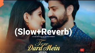 Tere Drad mein (Slow+Reverb) Song |
