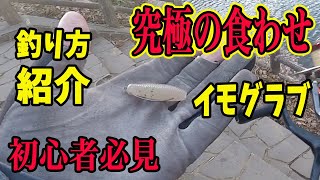 【初心者必見】目指せ冬バス！究極の食わせ！イモグラブの釣り方をご紹介！！！