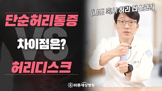 허리통증과 허리디스크 구분하는 방법?! 이제 이렇게 확인해보세요😎 Feat. 신경외과 전문의