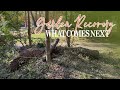 Garden Clean Up: What Comes Next? | Linda Vater