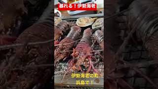 網の上で暴れる伊勢海老を堪能できるBBQごらく#志摩観光　#BBQ #バーベキュー #BBQごらく #伊勢海老