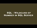 SQL : Wildcard of Number in SQL Server