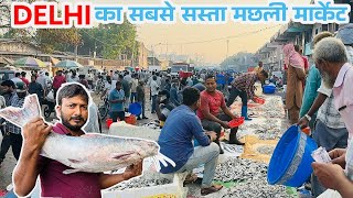 Ghazipur fish mandi Igazipur fish mandi rate today 2024|delhi seafood market| best fish market Delhi