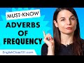 English Adverbs of Frequency You Must Know