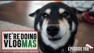 Ep.198 We're Doing VLOGMAS! | WahlieTV