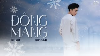 Đông Mang ( Lofi Ver ) - Phúc Chinh | Một Chiều Mưa Sang Đông Em Hoài Mong Sang Đưa...Lofi TikTok