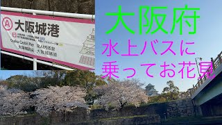 【大阪府】水上バスに乗ってお花見。Vlog