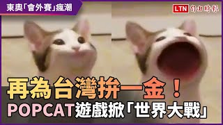 再為台灣拚一金！POPCAT點擊遊戲掀「世界大戰」風靡全球