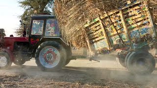 Dangerous Tractor stunt || powerful tractor pulling sugarcane loaded trailer | Tractor video