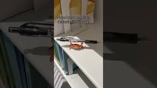 🤣 Funny Hot Sale - 🦀 Cute crab-shaped pen holder