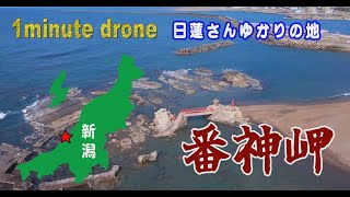 【1min. drone #194】新潟県柏崎市・番神岬～日蓮さんゆかりの地～