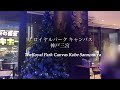 【2023年最新❗️】関西クリスマスイルミネーション一挙大公開‼️✨〜大阪・京都・兵庫〜🎉🎄