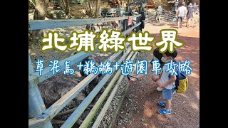 北埔綠世界 | 草泥馬 | 遊園車 | 鵜鶘 | 遊園攻略解說~跟著阿JU佳佳去走走