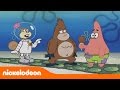 Bob Esponja | Gorila Suelto | Nickelodeon en Español