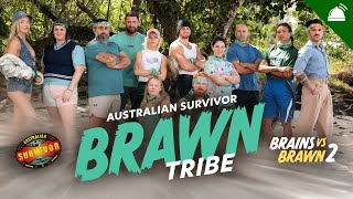 Survivor AU: Brains v Brawn II | Brawn Cast Assessment