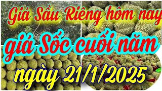 giá sầu riêng hôm nay ngày 21/1/2025