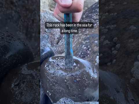 How old is a beach pebble?