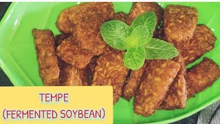 FRIED TEMPE/TEMPEH  INDONESIAN RECIPE|| How to Cook Fermented Soybeans