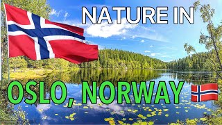 🇳🇴 NORWAY : Nature in the City of Oslo | NORWAY 🇳🇴 TRAVEL GUIDE