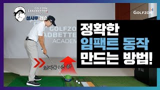 정확한 임팩트 동작 만드는 방법! (*이해가 너무 잘 됨 주의*) [LEADBETTER ACADEMY 성시우 레슨]