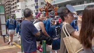 深川八幡祭り（富岡八幡宮例大祭）神輿連合渡御　木場五　 2023/8/13 b7