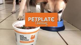 Pet Plate Unboxing: Fresh And Natural Dog Food Delivery