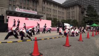 京炎 そでふれ！華羅紅（京都さくらよさこい2014 1日目）京都市役所前広場会場