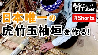 【竹虎】再生回数320万回突破！1時間の本編動画は日本唯一の虎竹を使った玉袖垣の作り方！[Bamboo fence] How to make bamboo crafts　#Shorts