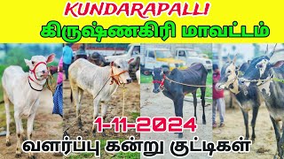 1-11-2024 கிருஷ்ணகிரி மாவட்டம் குந்தாரப்பள்ளி மாட்டு சந்தை 🥰🥰