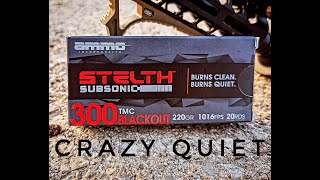 The Ammo Inc. Stelth Subsonic Line Is Crazy Quiet