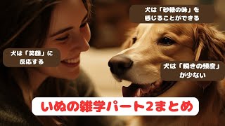 犬の雑学まとめパート２