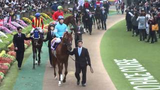 競馬 G1 2010年 第30回 ジャパンカップ パドック騎手騎乗 現地撮影