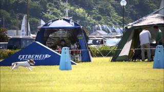 2014年エクストリーム中部大会　小太郎　ハイスピード